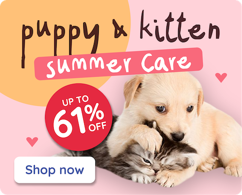 Puppy and Kitten